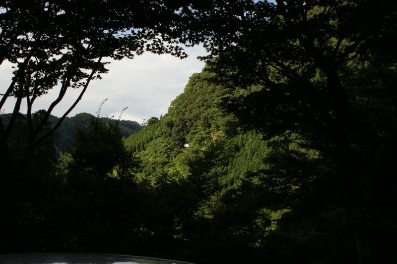 b0019909_20311360.jpg