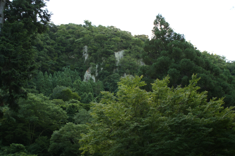 b0019909_20323139.jpg