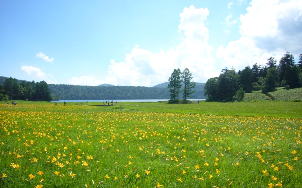 尾瀬沼(2010/07/18)_f0224512_842442.jpg