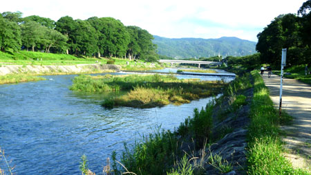 豪雨 賀茂川_e0048413_211098.jpg