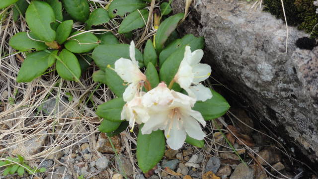 f0233414_22163062.jpg