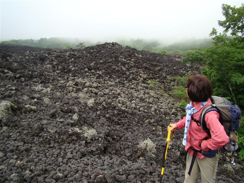 岩手山と山の女王_a0127015_2053897.jpg