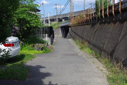 a0030217_7521970.jpg