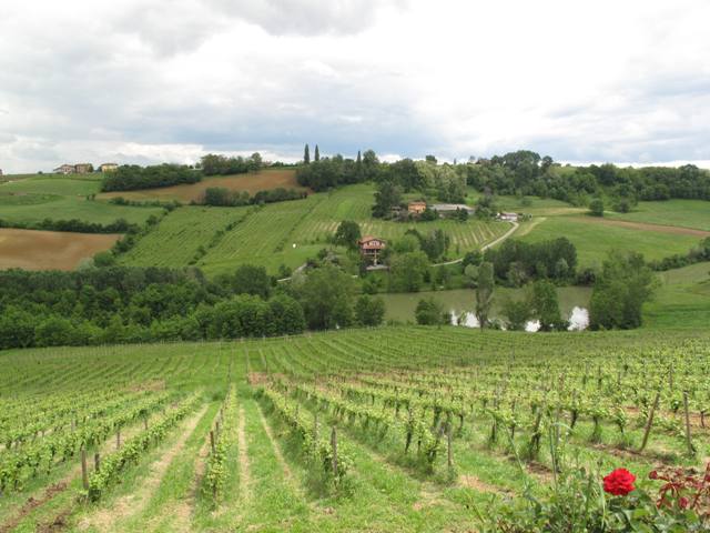 c0159117_23281782.jpg