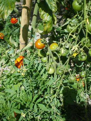 c0124619_23284874.jpg
