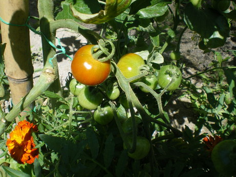 c0124619_23293627.jpg