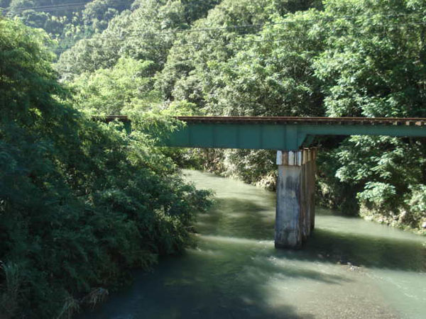 e0110719_05321.jpg