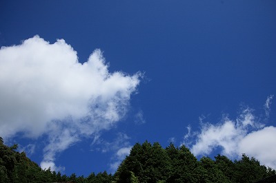 b0056924_98975.jpg