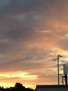 d0025725_2316285.jpg