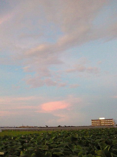 d0025725_23162868.jpg