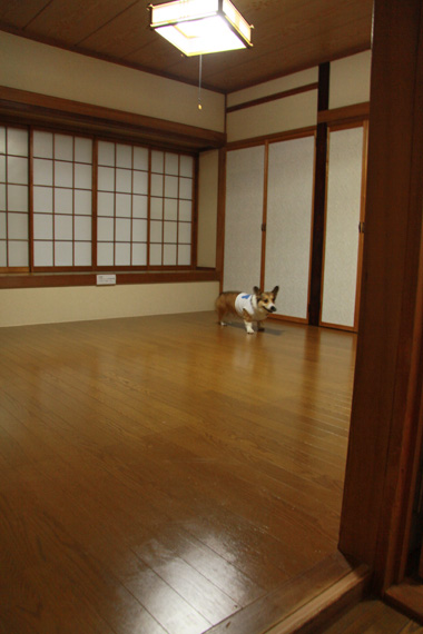 e0071225_2375687.jpg