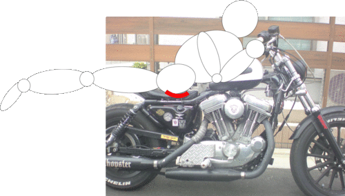 c0006028_7552861.gif