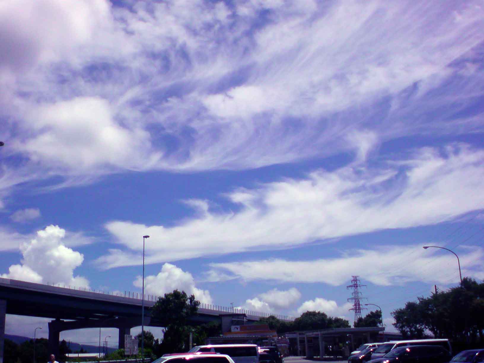 c0006028_8162912.jpg