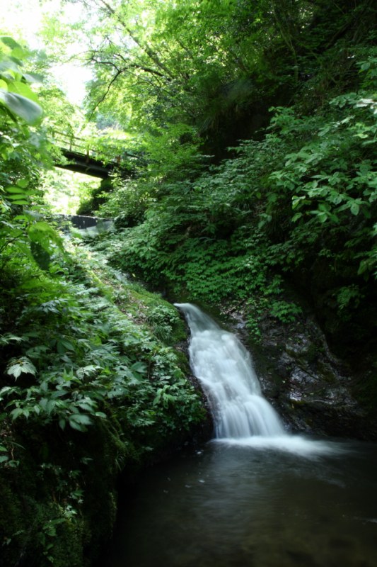 涼を求めて! 白岩の滝　奥多摩_b0129829_1926244.jpg