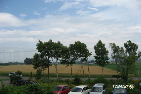 c0024729_1971692.jpg