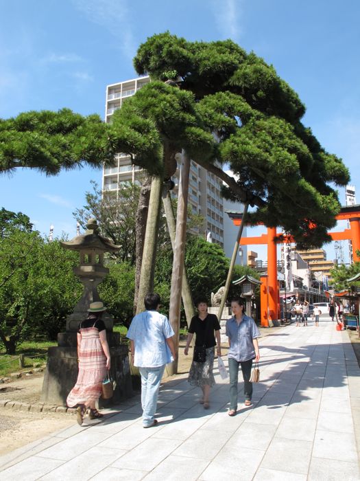 白山神社夏祭り_c0019131_17445816.jpg