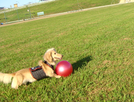 c0117831_21225171.jpg