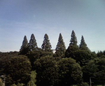 c0056932_10521143.jpg