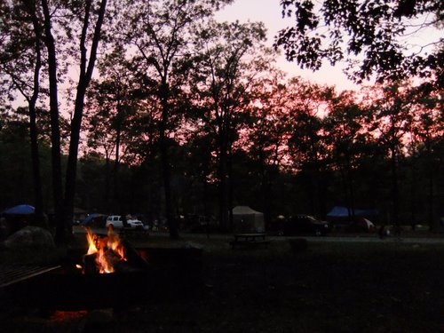 c0064534_18290.jpg