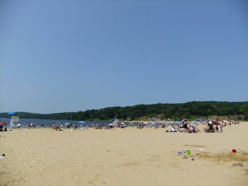 c0064534_19183.jpg