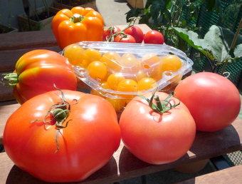 Mr. Jazz\'s Tomato Pie _c0201334_16115249.jpg