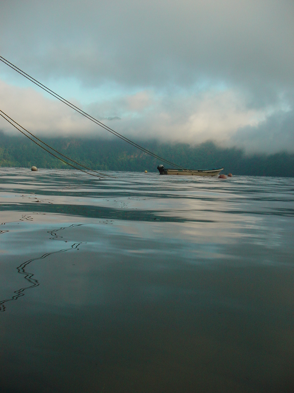 b0128835_19404289.jpg