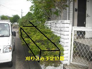 今日も色々_f0031037_18431050.jpg