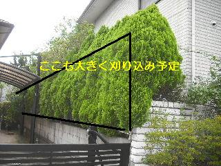 今日も色々_f0031037_18431643.jpg