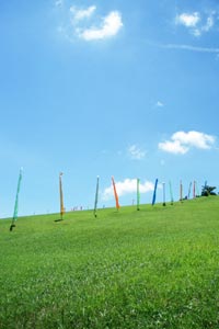＊ハトラみっつ_a0030038_1581776.jpg