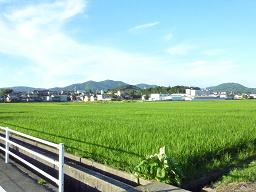 a0063538_20324868.jpg