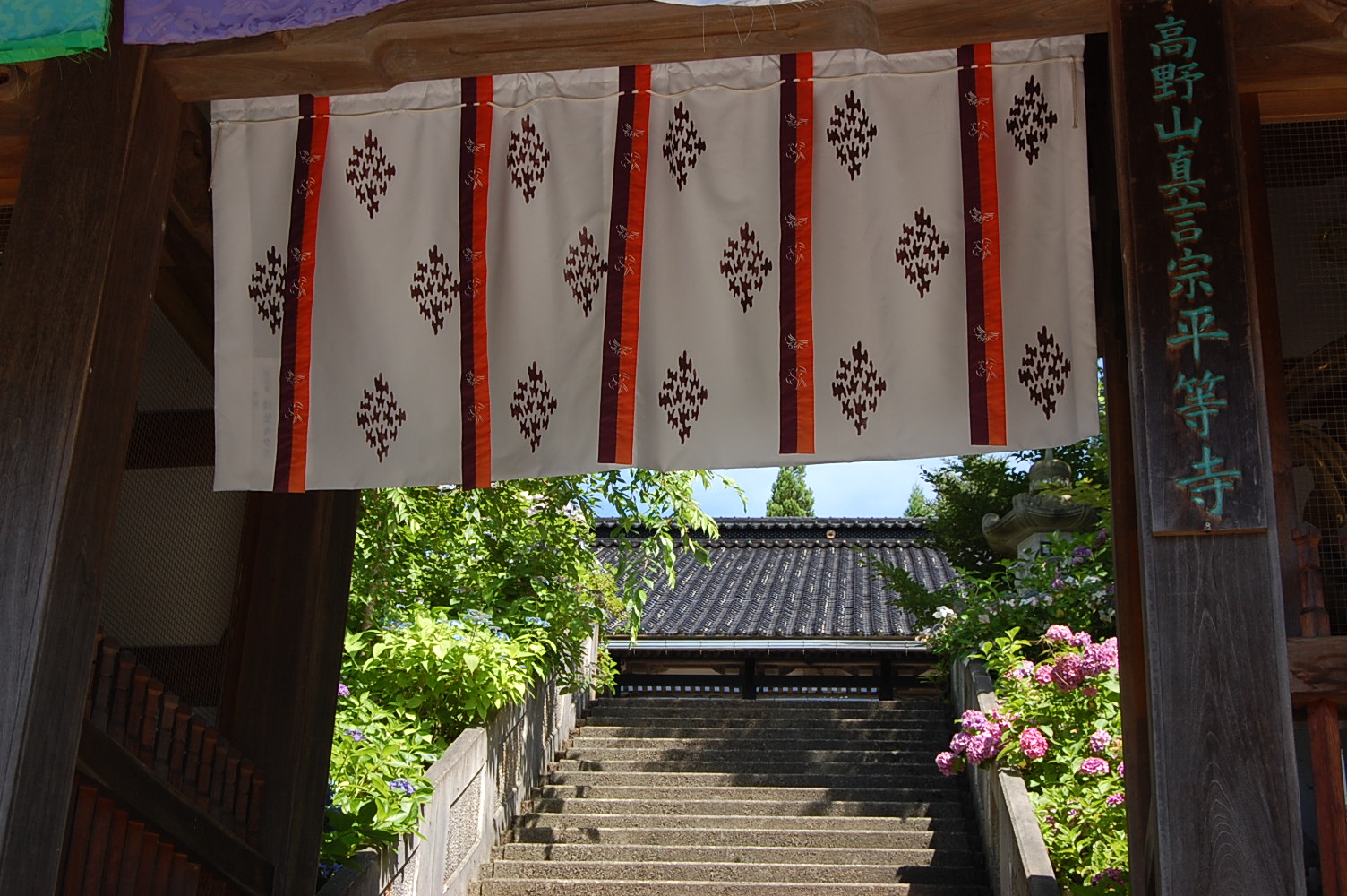 あじさい寺　平等寺_e0055138_1549397.jpg