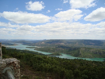 e0120938_749455.jpg