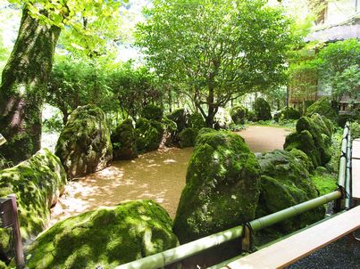 d0079440_8444116.jpg
