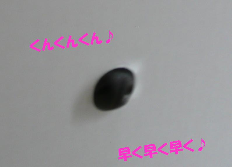 c0147241_1630383.jpg