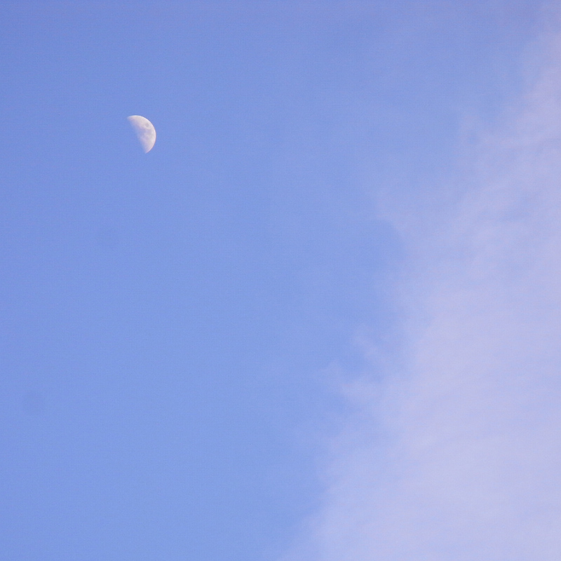 f0184244_93555.jpg