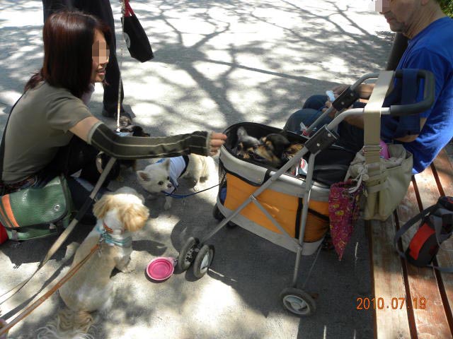 泳げるよぉ~ウソォ_c0102545_16284.jpg
