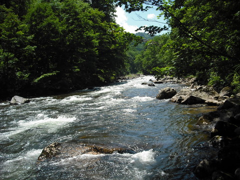 b0180946_2071387.jpg