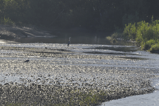 c0093046_1812359.gif