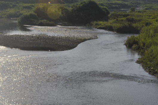 犀川の朝_c0093046_181634.gif