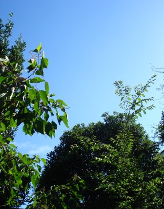 a0166650_21553488.jpg