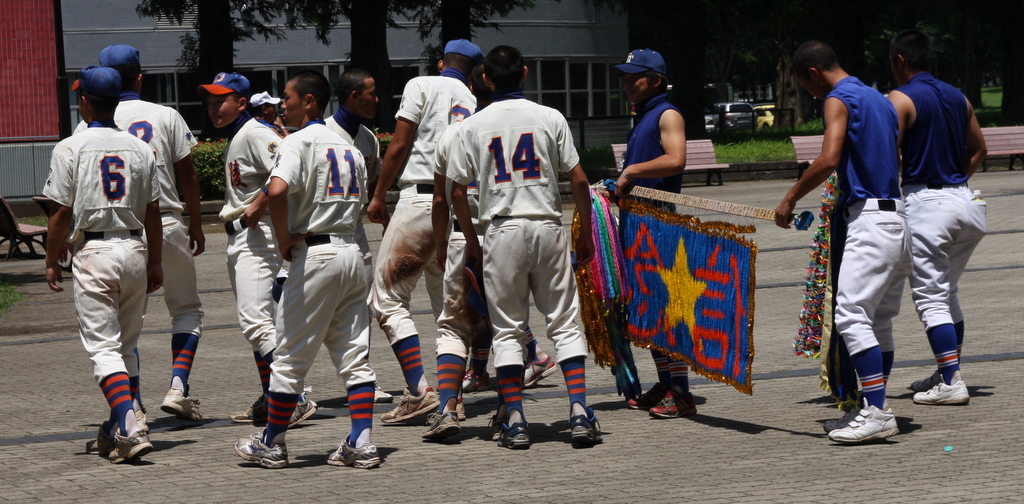 HERO 夏に輝く君が好き　夏の高校野球栃木大会_b0153550_2231197.jpg