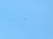e0172950_20143460.jpg