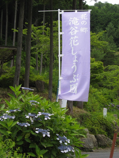 b0188654_07223.jpg