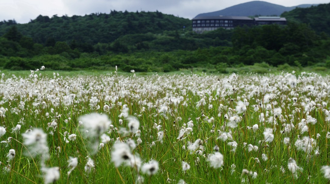 秣岳→栗駒山→イワカガミ湿原 - 秋田県東成瀬村_f0137955_23583.jpg