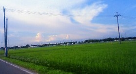 f0130259_18543398.jpg