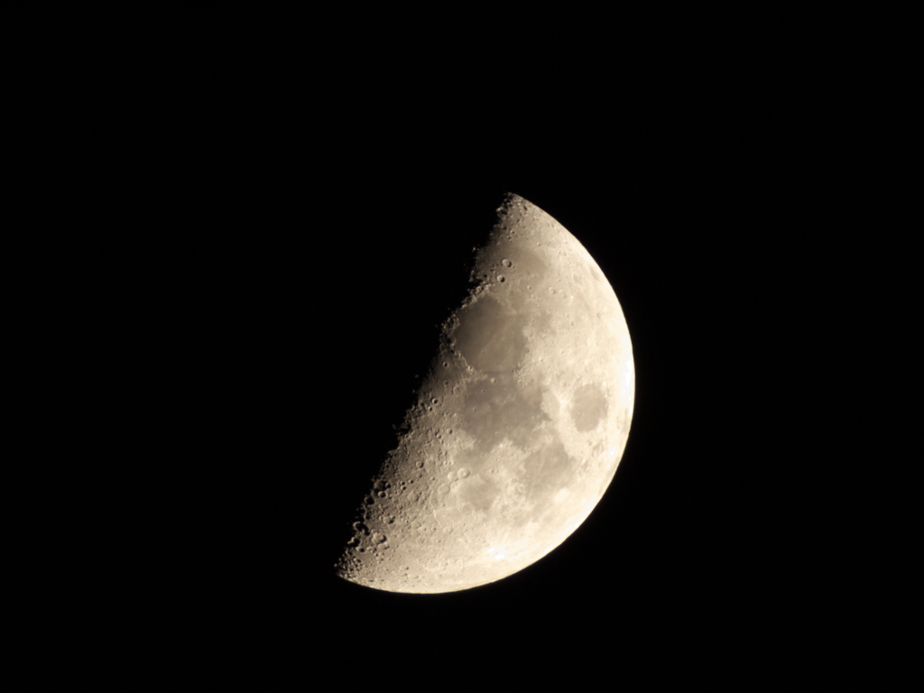 c0108863_1185219.jpg
