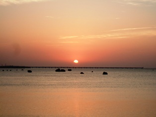 e0038665_1536070.jpg