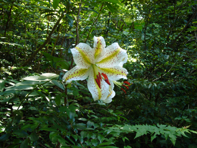 c0040472_21482221.jpg