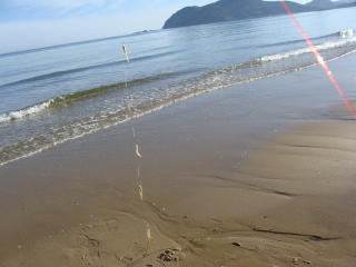 d0182075_17273899.jpg