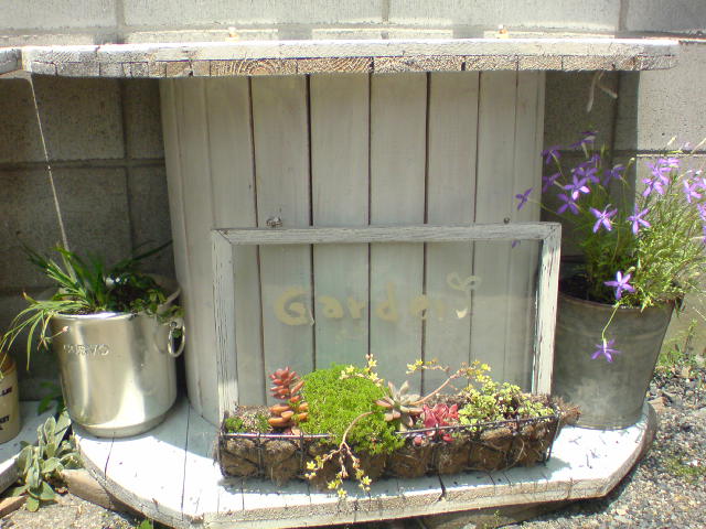 d0183278_15315795.jpg